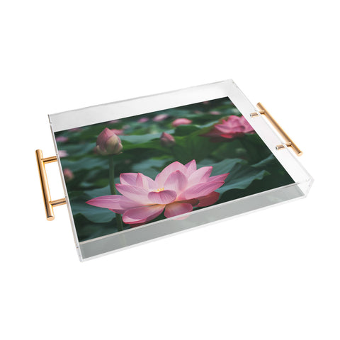 Catherine McDonald Lotus Field Acrylic Tray