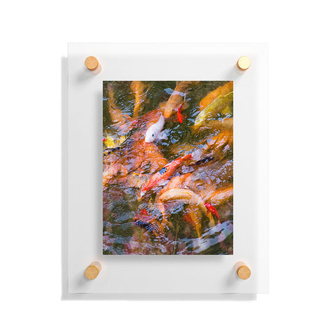 Catherine McDonald Ornamental Carp Floating Acrylic Print