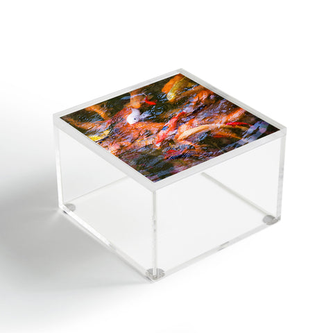 Catherine McDonald Ornamental Carp Acrylic Box