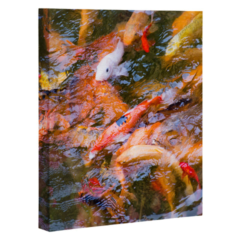 Catherine McDonald Ornamental Carp Art Canvas