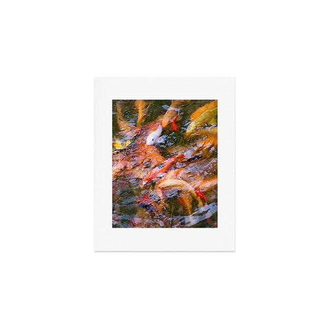 Catherine McDonald Ornamental Carp Art Print
