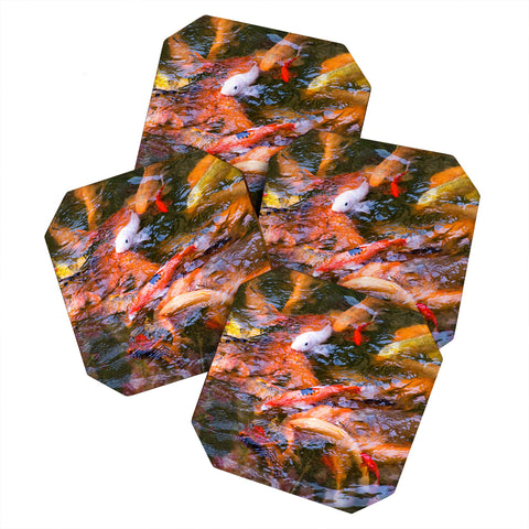 Catherine McDonald Ornamental Carp Coaster Set