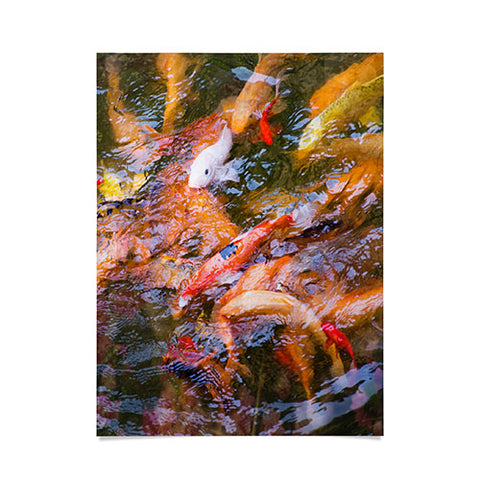 Catherine McDonald Ornamental Carp Poster