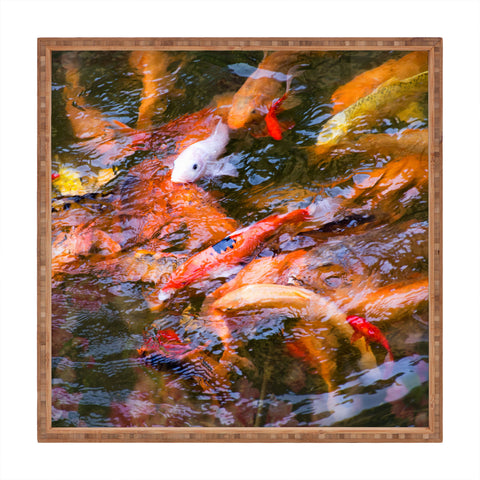 Catherine McDonald Ornamental Carp Square Tray