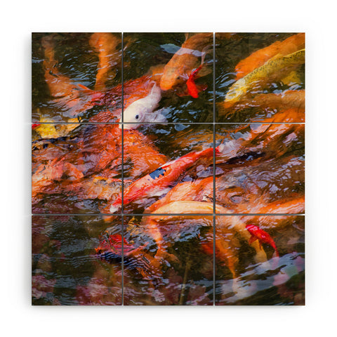 Catherine McDonald Ornamental Carp Wood Wall Mural