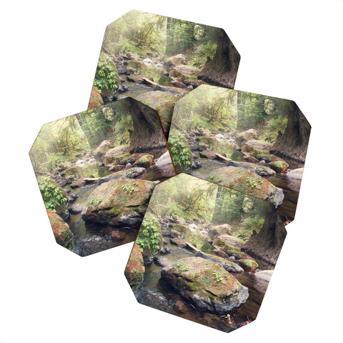 Catherine McDonald Pescadero Creek Coaster Set