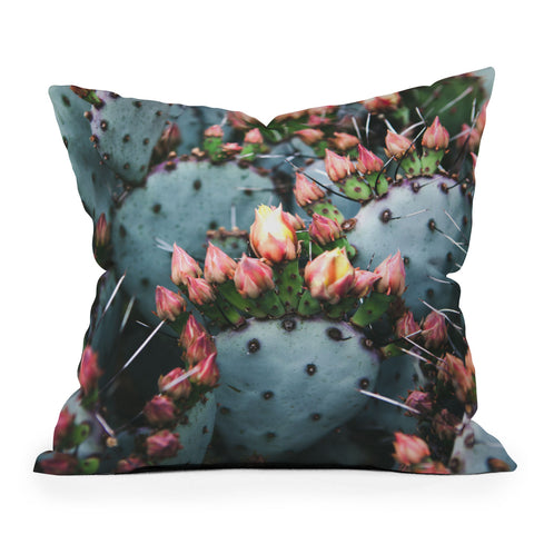 Catherine McDonald Prickly Pear Outdoor Throw Pillow