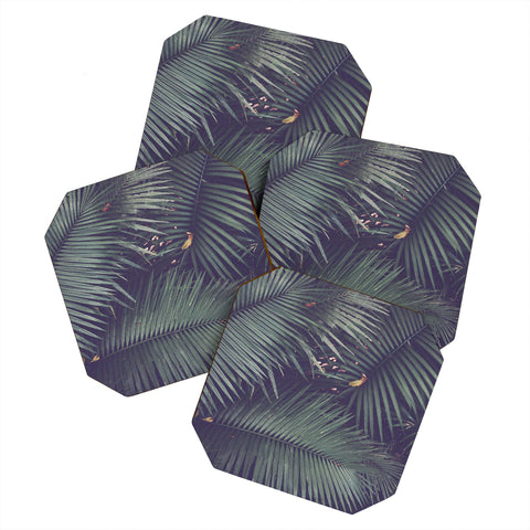 Catherine McDonald Rainforest Floor Coaster Set