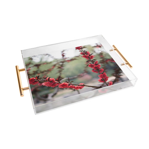 Catherine McDonald Red Peach Blossoms In China Acrylic Tray