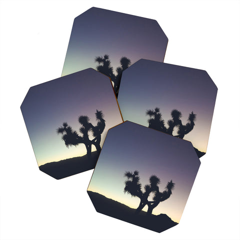 Catherine McDonald Sunset at Joshua Tree Coaster Set