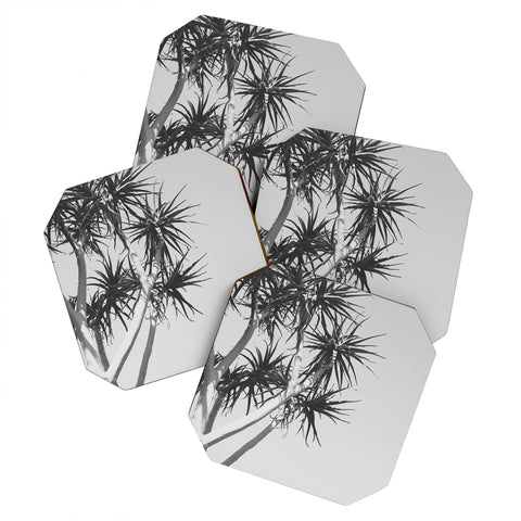 Catherine McDonald Tree Aloe Coaster Set