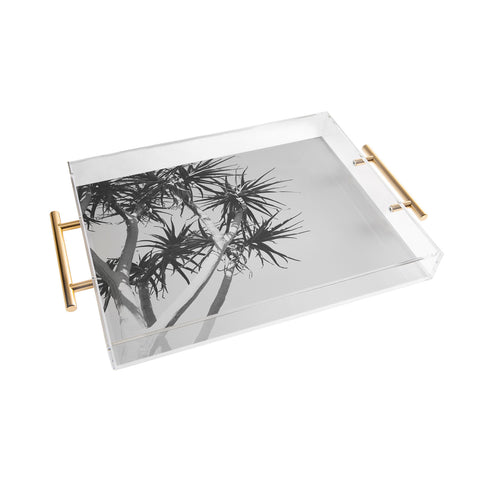 Catherine McDonald Tree Aloe Acrylic Tray