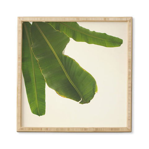 Catherine McDonald Tropical Banana Leaves Framed Wall Art