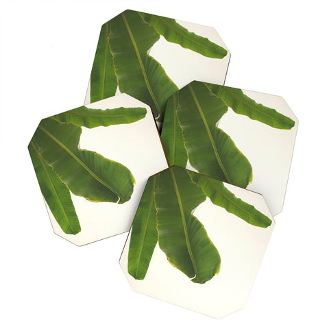 Catherine McDonald Tropical Banana Leaves Coaster Set