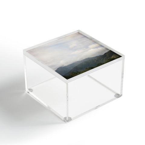 Catherine McDonald Tropical Rainforest Acrylic Box