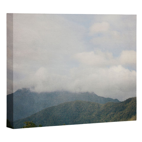 Catherine McDonald Tropical Rainforest Art Canvas