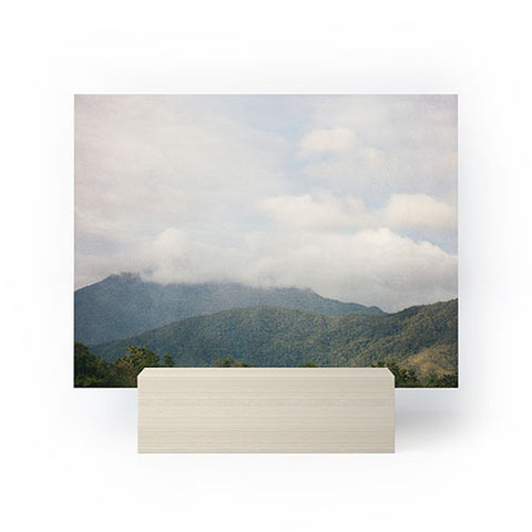 Catherine McDonald Tropical Rainforest Mini Art Print