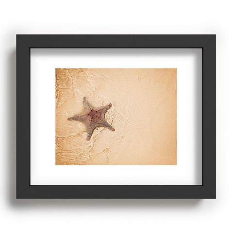 Catherine McDonald Tropical Starfish Recessed Framing Rectangle