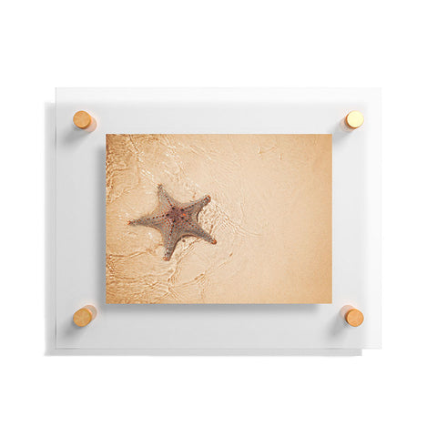 Catherine McDonald Tropical Starfish Floating Acrylic Print