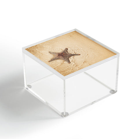 Catherine McDonald Tropical Starfish Acrylic Box