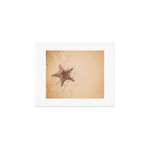 Catherine McDonald Tropical Starfish Art Print