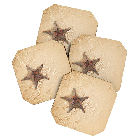 Catherine McDonald Tropical Starfish Coaster Set