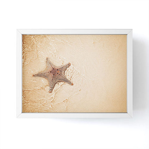 Catherine McDonald Tropical Starfish Framed Mini Art Print