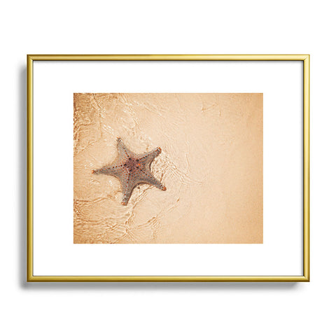 Catherine McDonald Tropical Starfish Metal Framed Art Print