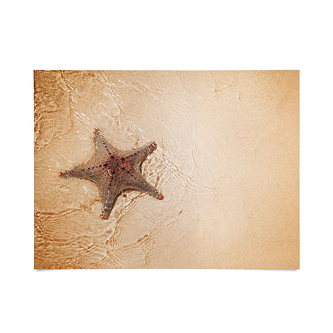 Catherine McDonald Tropical Starfish Poster