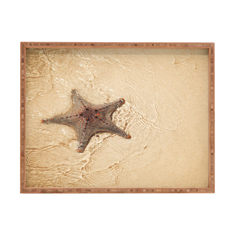 Catherine McDonald Tropical Starfish Rectangular Tray