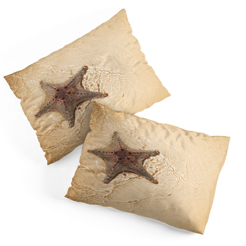 Catherine McDonald Tropical Starfish Pillow Shams