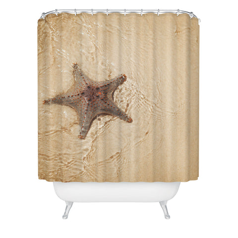 Catherine McDonald Tropical Starfish Shower Curtain