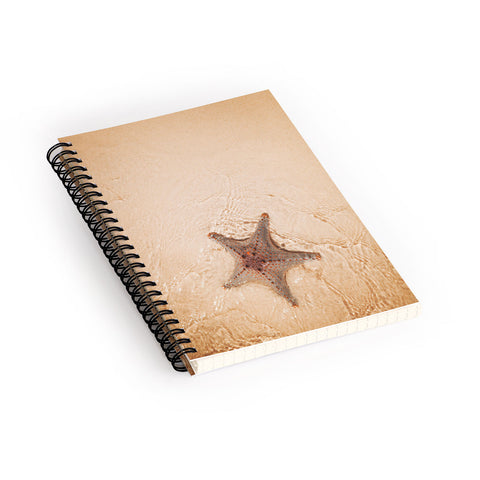 Catherine McDonald Tropical Starfish Spiral Notebook