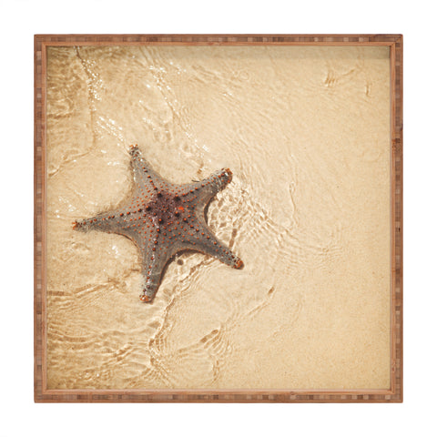 Catherine McDonald Tropical Starfish Square Tray