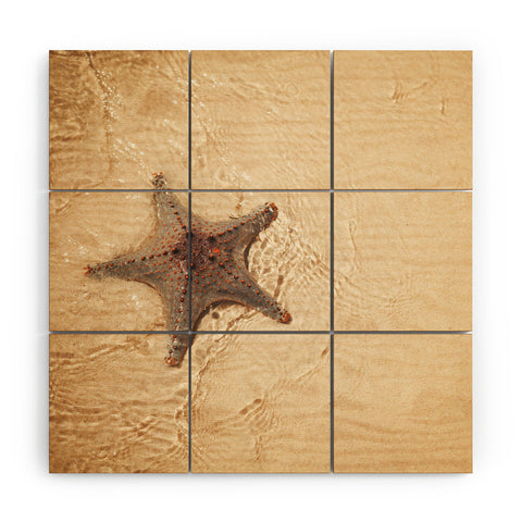 Catherine McDonald Tropical Starfish Wood Wall Mural