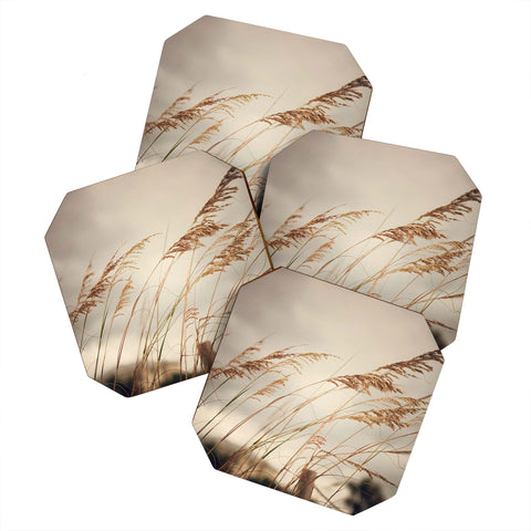 Catherine McDonald Wild Oats To Sow Coaster Set