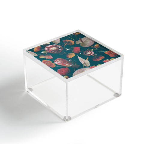CayenaBlanca Botanical Holiday Acrylic Box