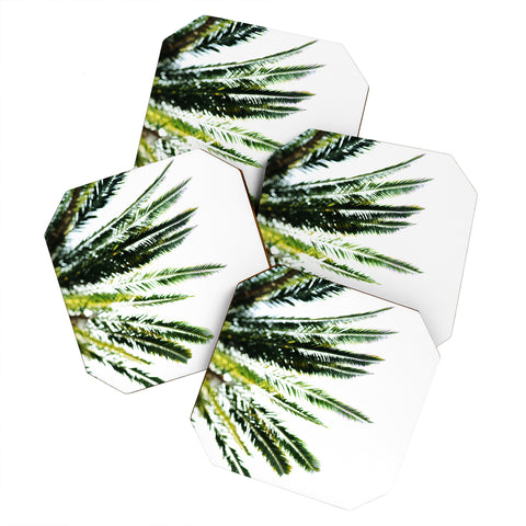 Chelsea Victoria Beverly Hills Palm Tree Coaster Set