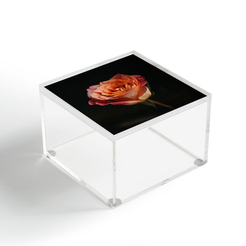 Chelsea Victoria Black Rose Acrylic Box