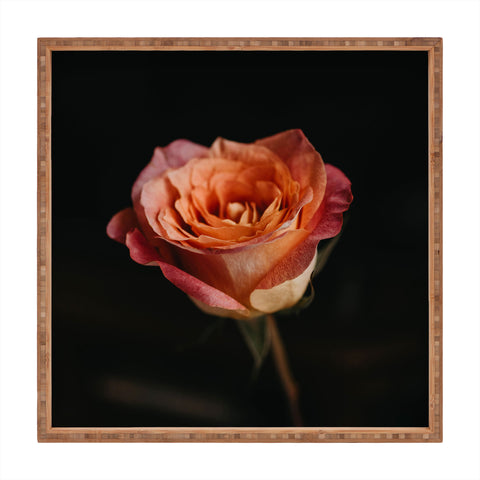 Chelsea Victoria Black Rose Square Tray