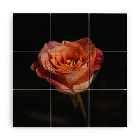 Chelsea Victoria Black Rose Wood Wall Mural