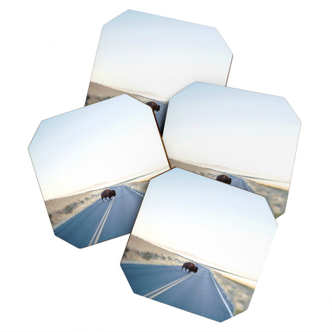 Chelsea Victoria Buffalo Crossing Coaster Set