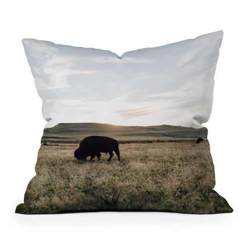 Chelsea Victoria Buffalo Sunset Outdoor Throw Pillow