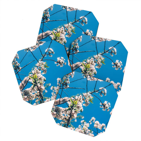 Chelsea Victoria Cherie Amour Coaster Set