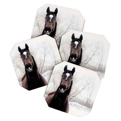 Chelsea Victoria Dark Horse Coaster Set