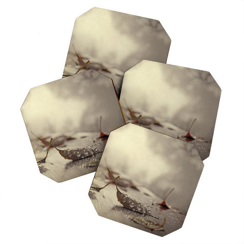 Chelsea Victoria December Mornings Coaster Set