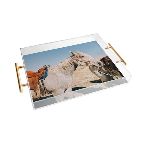 Chelsea Victoria Desert Horse Acrylic Tray