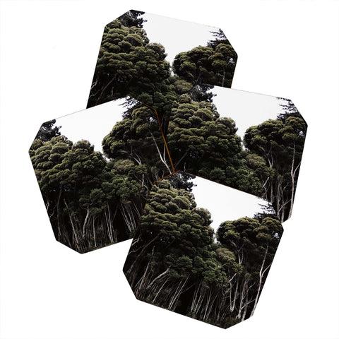 Chelsea Victoria Do Not Go Into The Woods Coaster Set