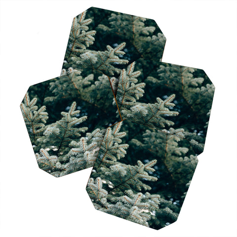 Chelsea Victoria Evergreen Coaster Set