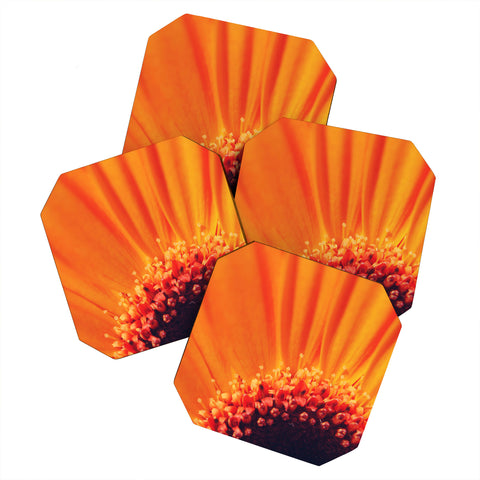 Chelsea Victoria Flower Burst Coaster Set